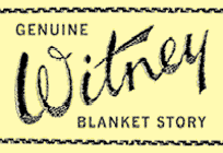 Witney Blanket Project website logo